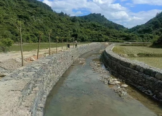 Gabion Mesh (6cm x 8cm) Perfect voor tuinieren en landschapsarchitectuur, warm gedompeld gegalvaniseerd