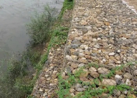 Gray Pvc Coated Hexagonal Gabion-Doos 2.8mm Draaddiameter