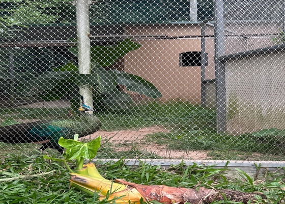Hoge sterkte 2 mm diameter draad touwnet voor veilige dierentuin dierenhokken