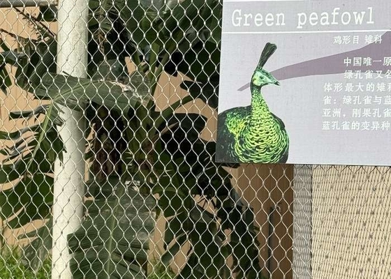 Romboïde gat dierentuin touwmaas van roestvrij staal flexibel geferrold voor dierenhuizen