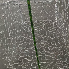 Gegalvaniseerd PVC-gecoat zeshoekig gabiondraadnet voor hellingsstabilisatie