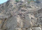 De hete Onderdompeling galvaniseerde Flexibele Rockfall-Bescherming die de pvc Met een laag bedekte Vorm van het Diamantgat opleveren